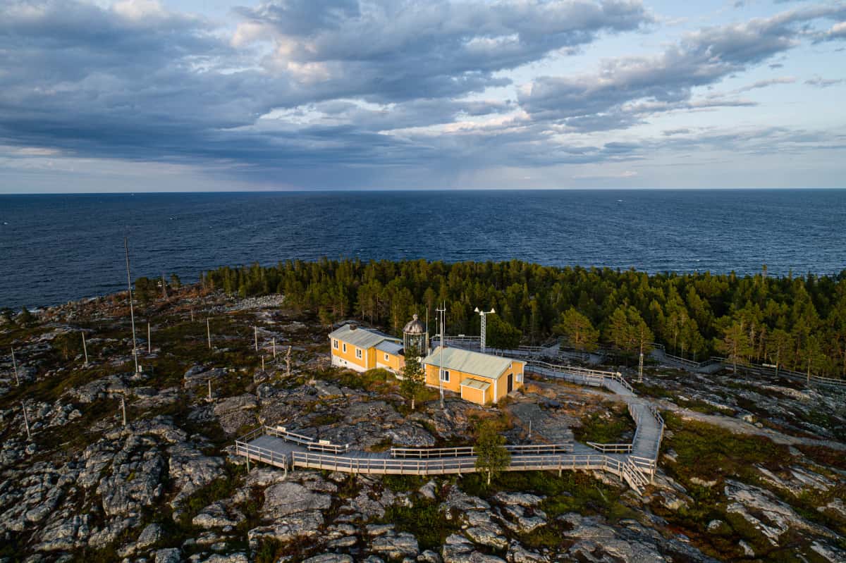 Bjuröklubb från ovan | Foto: Ted Logart