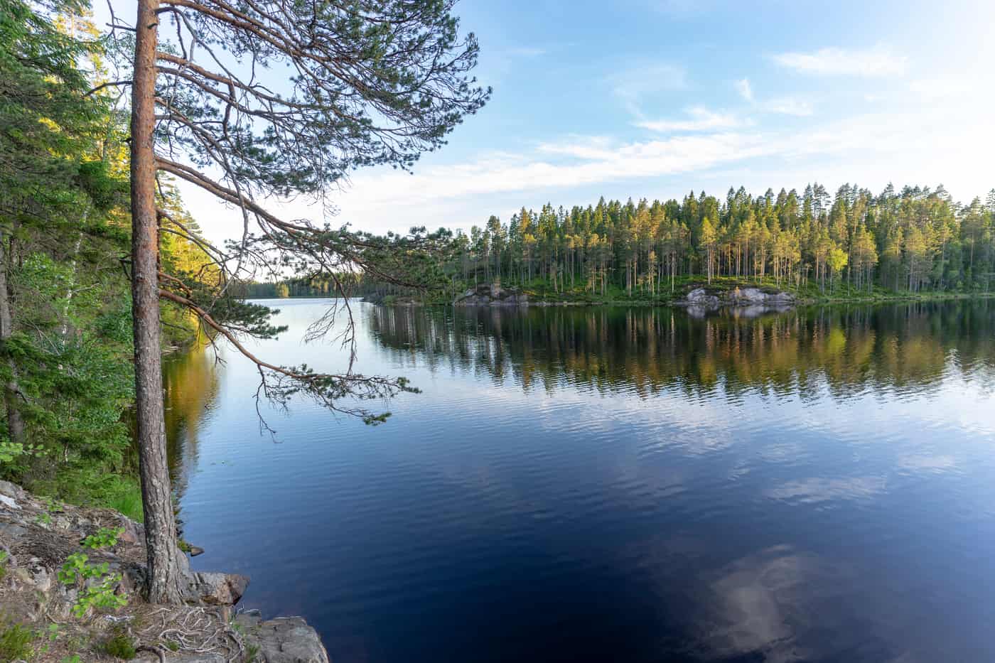 Glaskogens camping