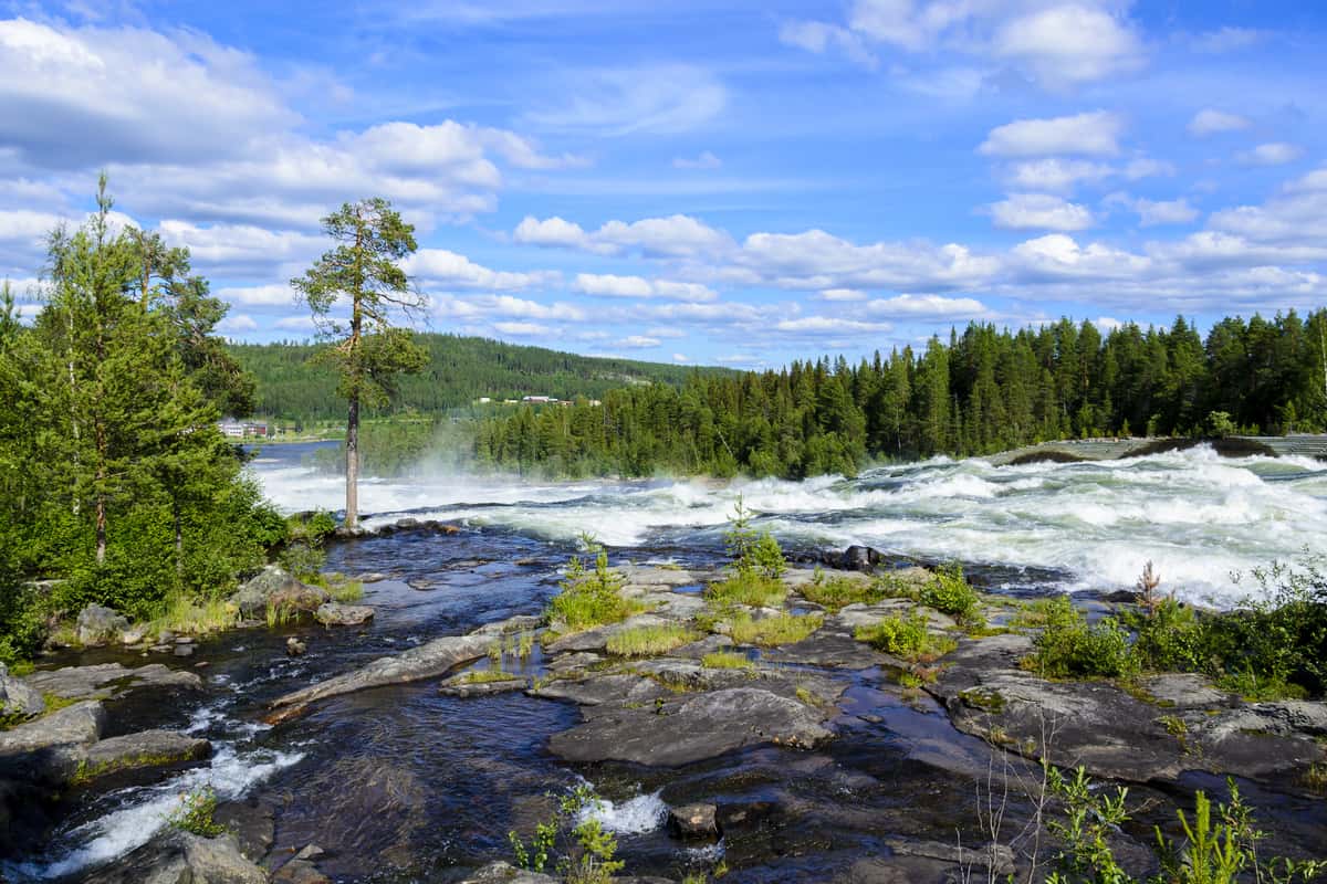 Utsikt över Storforsen