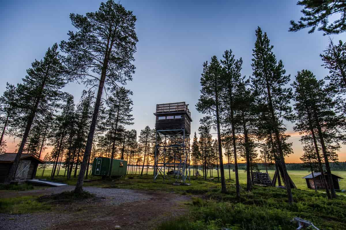 Vasikkavuoma naturreservat | Foto: Linnéa Isaksson