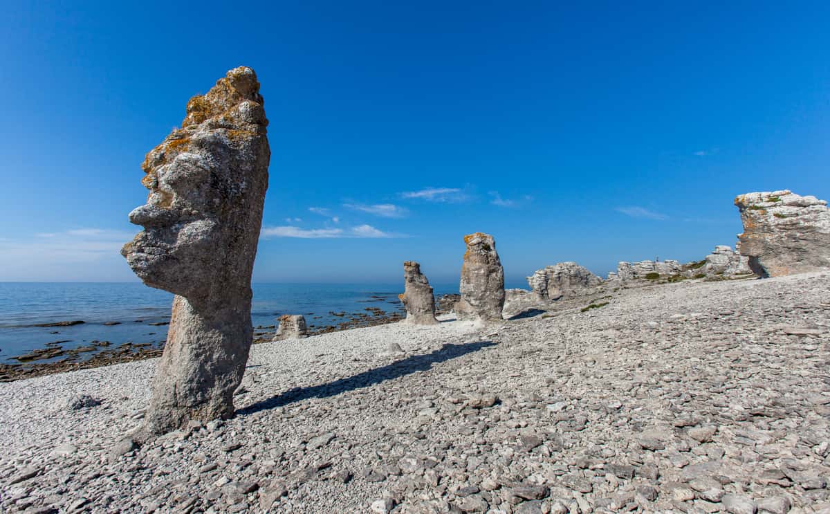 Raukar på en strand på Fårö