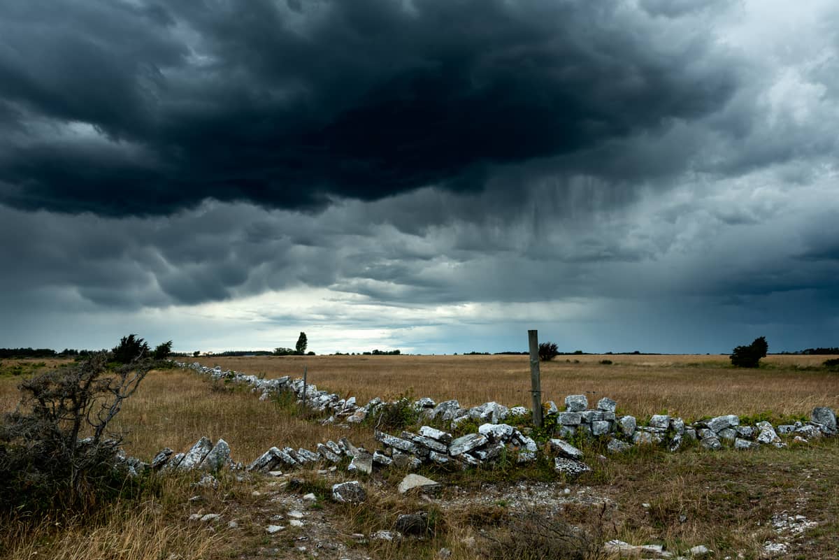 Stora alvaret på Öland