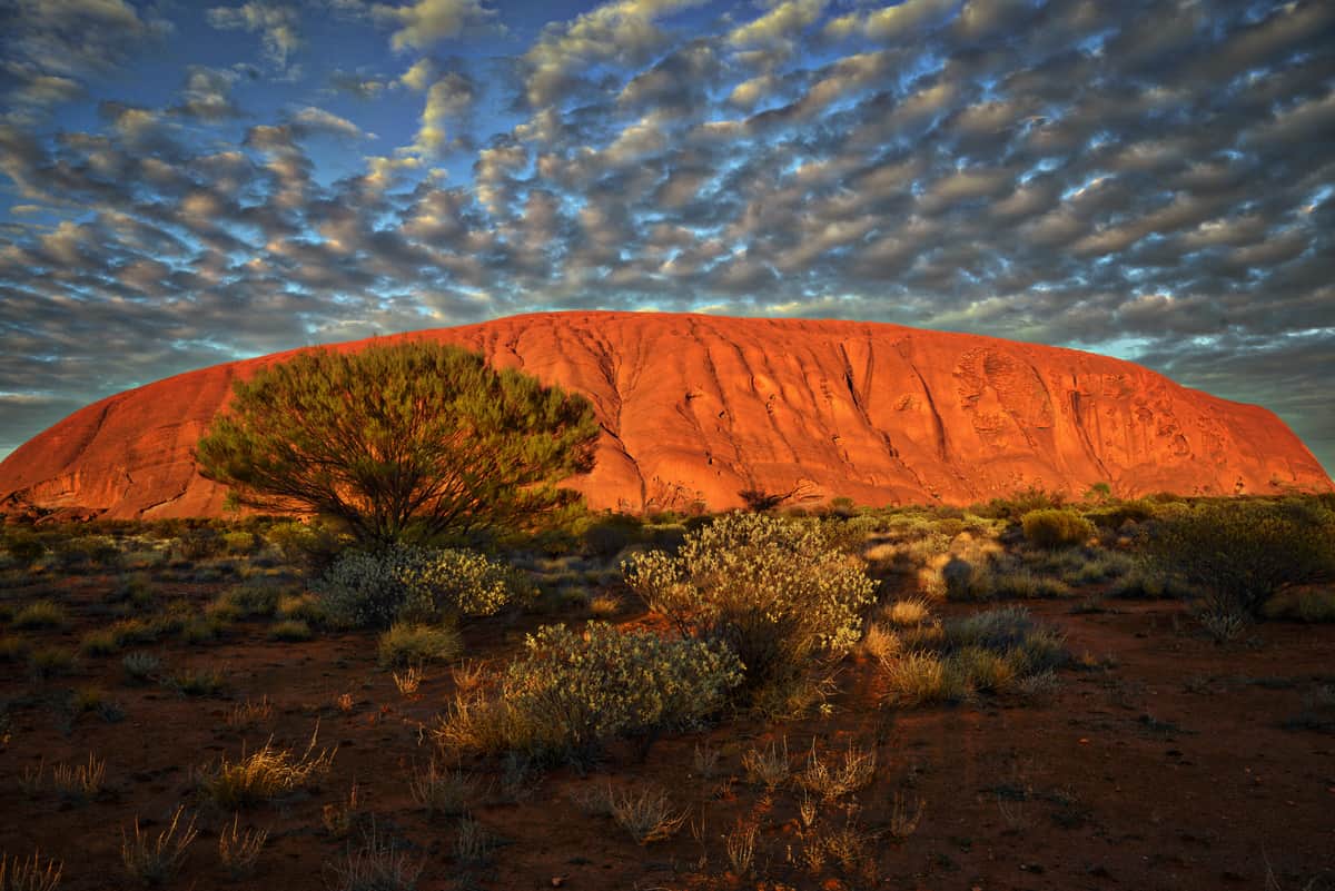 Mäktiga klippan Uluru, Australiens hjärta