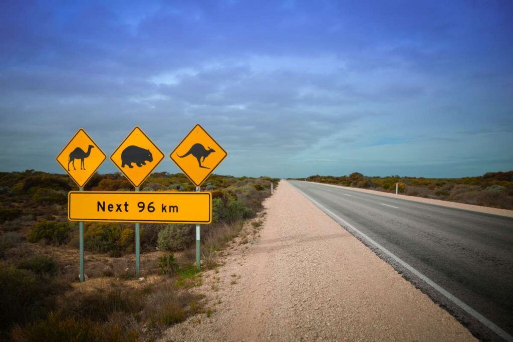 Varningsskyltar längs en väg i Australien