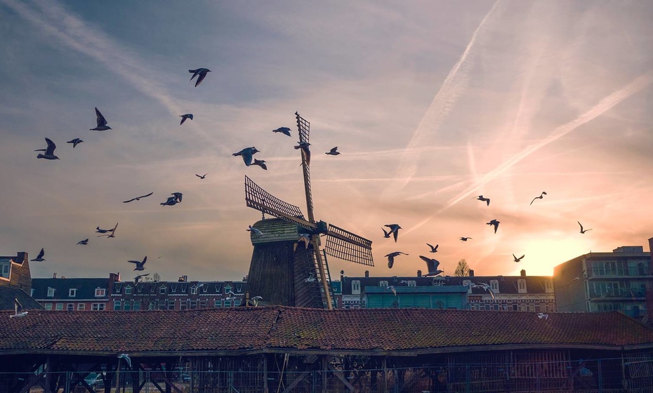 Väderkvarn i solnedgången i Amsterdam