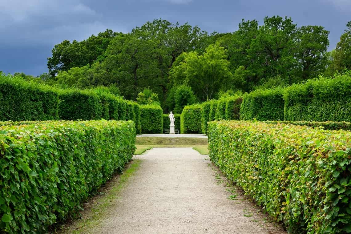 Drottningholms slottspark | Foto: Daniel Welsh